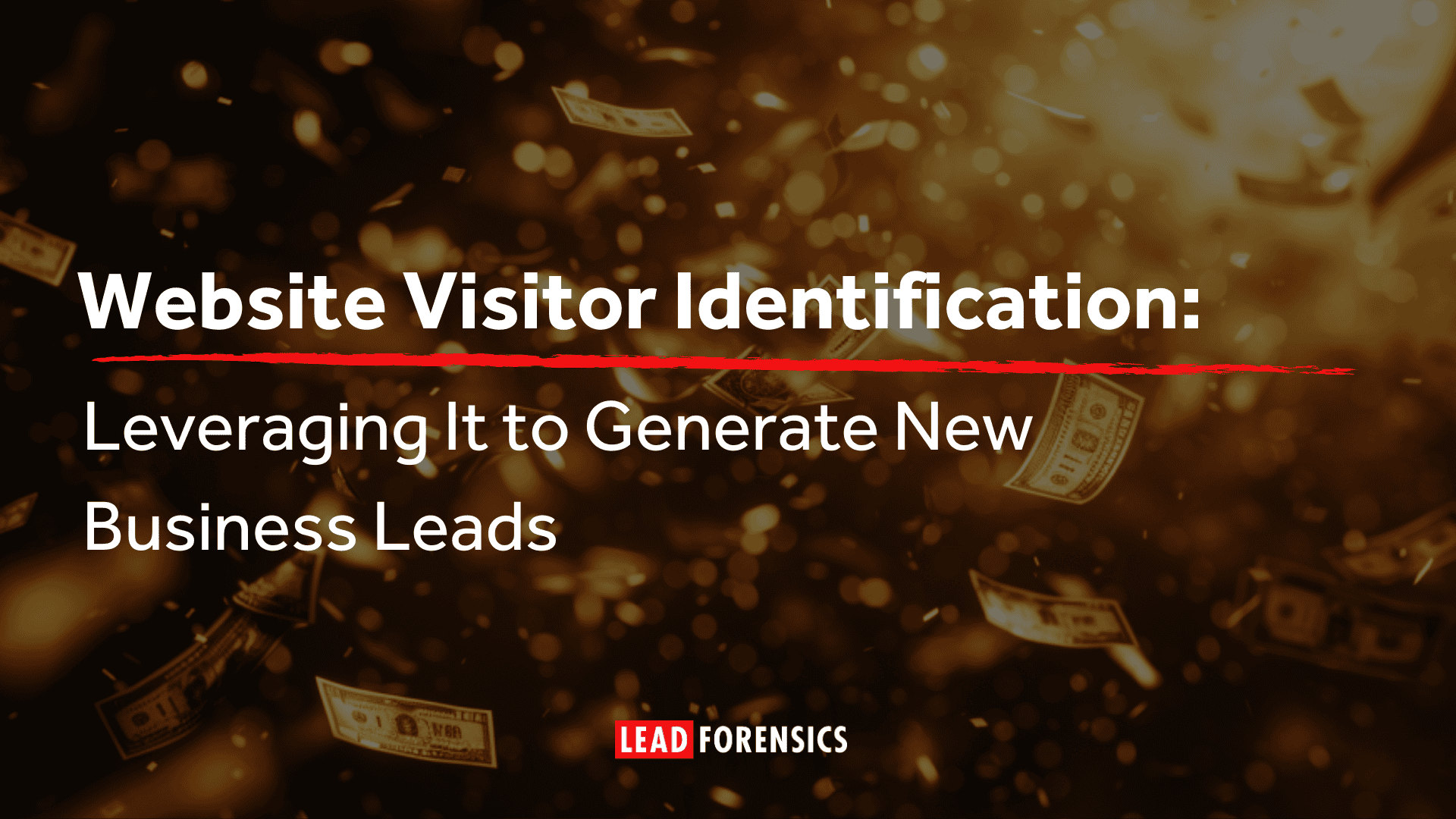 Website Visitor Identification